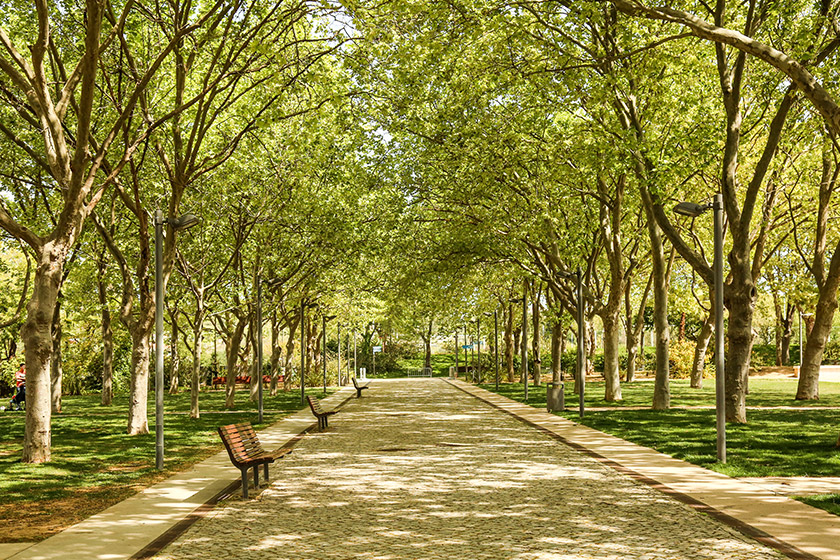 Parque Municipal de Loulé