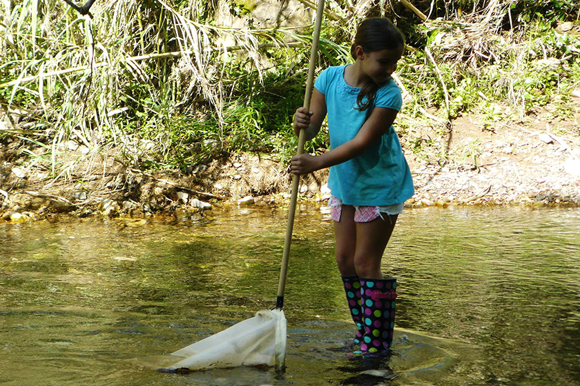 Environmental education project “Para Além da Água – Vida na Ribeira”