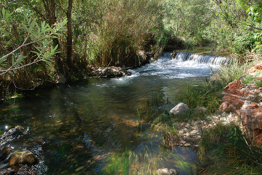 Local Protected Area of Fonte da Benémola