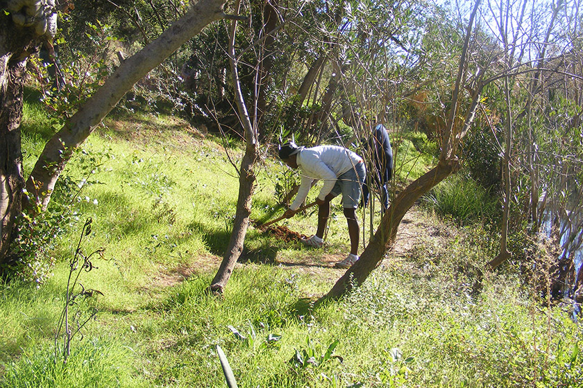 Reabilitação de margens da ribeira na Área Protegida Local da Fonte Benémola