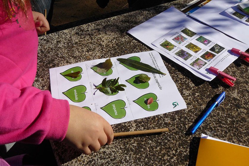 Educação ambiental