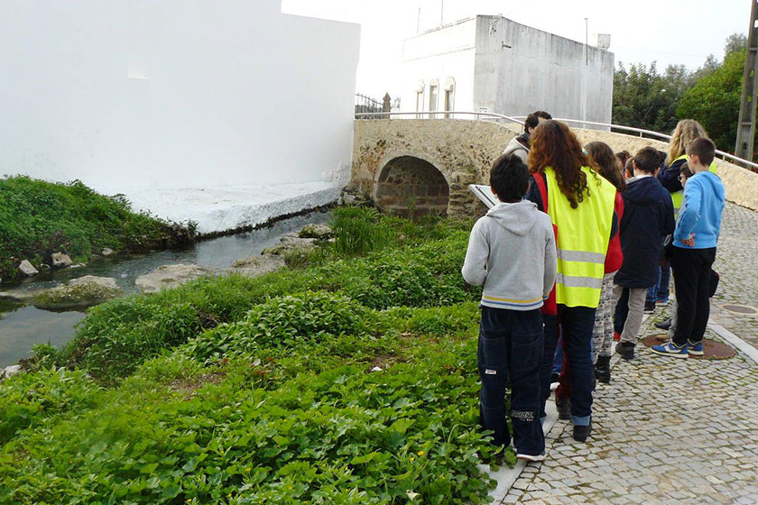 Environmental education project “Para Além da Cidade – Vida no Cadoiço”