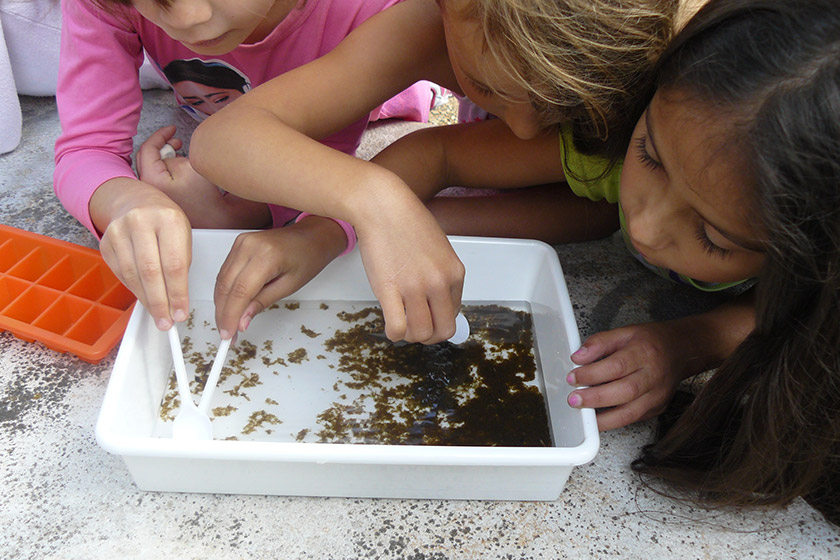 Environmental education project “Para Além da Água – Vida na Ribeira”